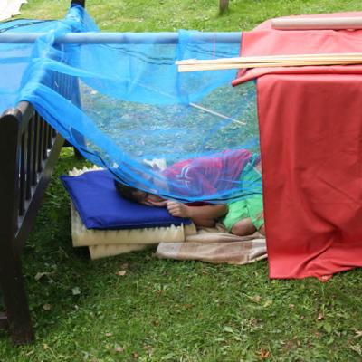 The Power of Dens