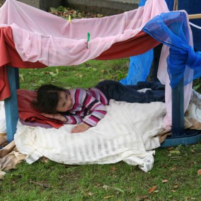 The Power of Dens