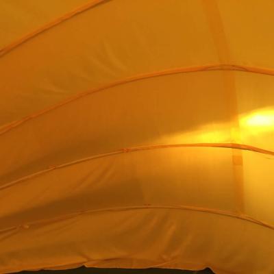 Golden Tent Top